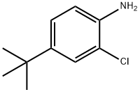 4-tert-butyl-2-chloroaniline